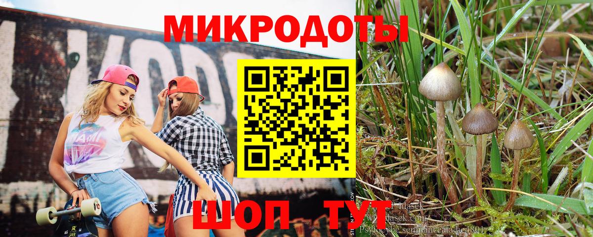 Псилоцибиновые грибы MAGIC MUSHROOMS Кропоткин