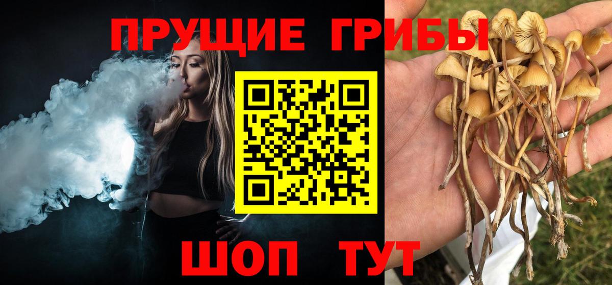 Псилоцибиновые грибы GOLDEN TEACHER  Вход с VPN  где найти   Кропоткин  Галлюциногенные грибы Psilocybine cubensis 